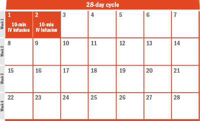 CLL calendar